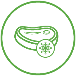 Congelados